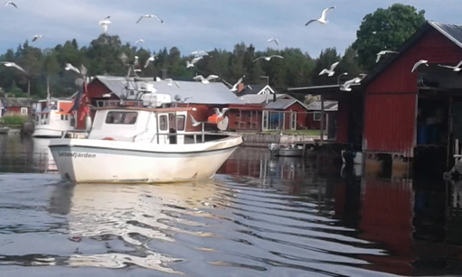 Kustfiske Gastrikebygden till 17 jan