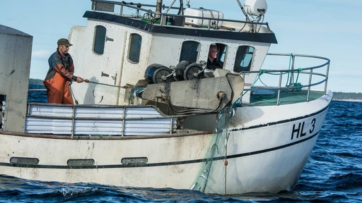 Nytt projekt: Kustfiskarelyftet