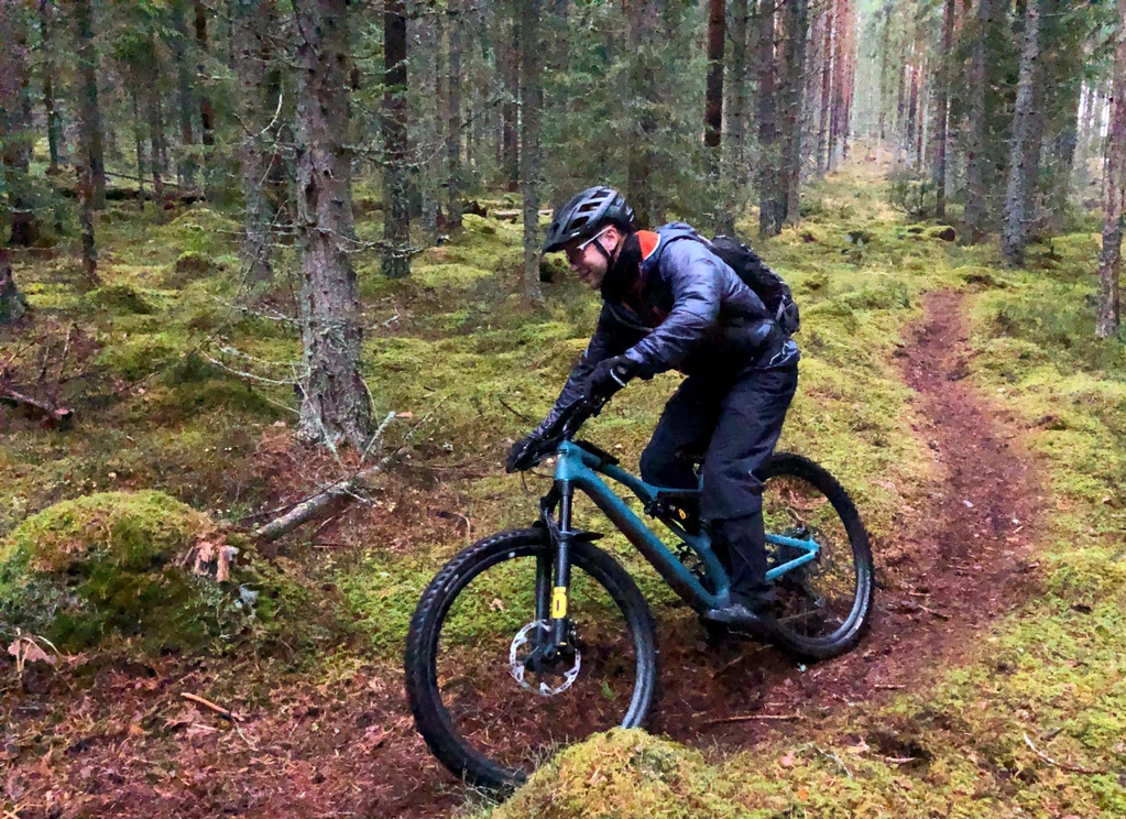 MTb bild skog 2