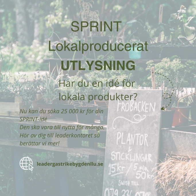 Utlysning lokalp 1x1 s 1