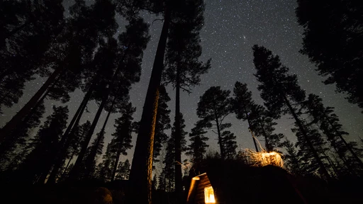 Nytt projekt: Wild camp - nästa steg