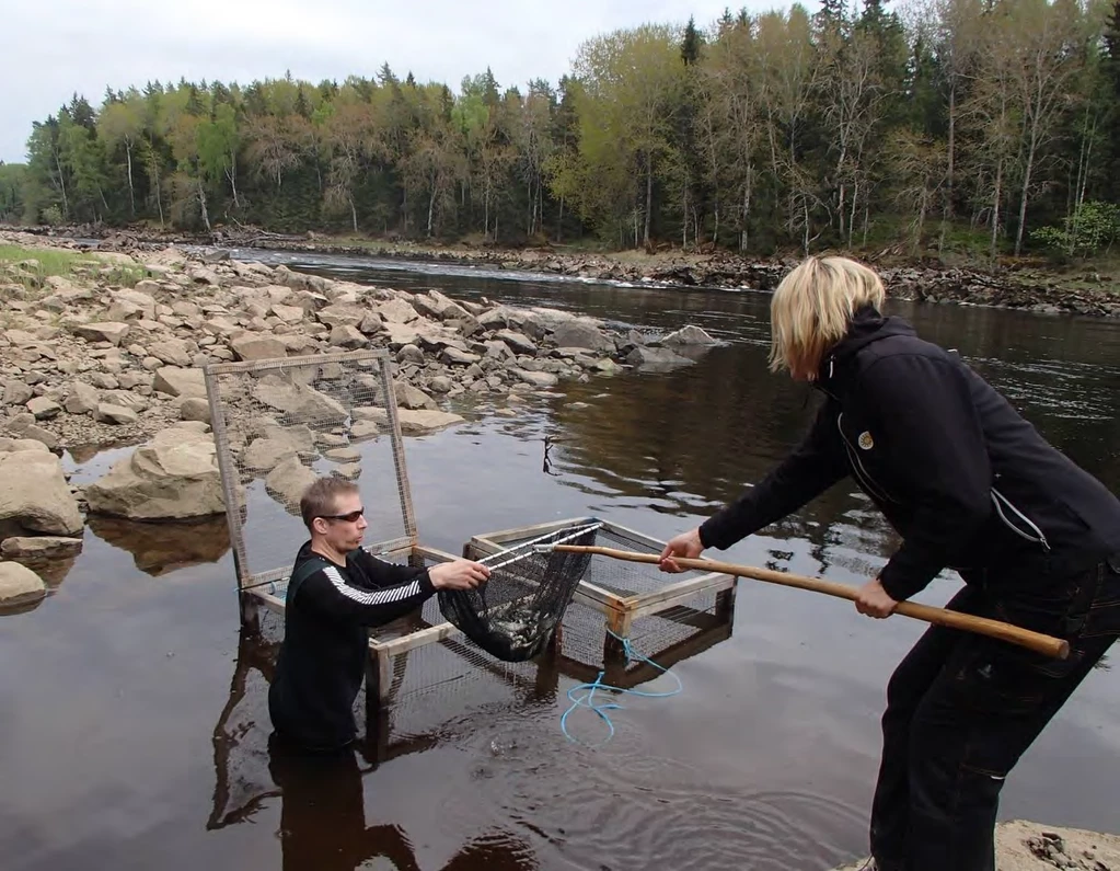 Samverkan mellan fiskets intressenter