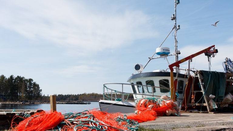 Att kunna säkra miljövänlig och effektivt strömmingsfiske är viktigt för det småskaliga kustfisket